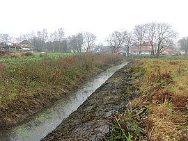 Gewässerabschnitt in Pastow nach der Sohlkrautung und Böschungsmahd